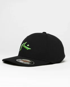 Chronic 4 Flexfit Cap | Rusty Discount
